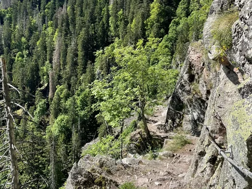 Vue sur le Sentier des Roches, sentier escarpé et rocheux traversant les crêtes des Vosges. Col de la Schluht