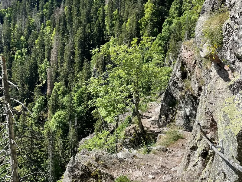 Vue sur le Sentier des Roches, sentier escarpé et rocheux traversant les crêtes des Vosges.