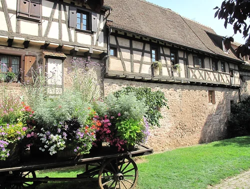 Maison à colombages typique de Riquewihr, aux façades colorées et fleuries.