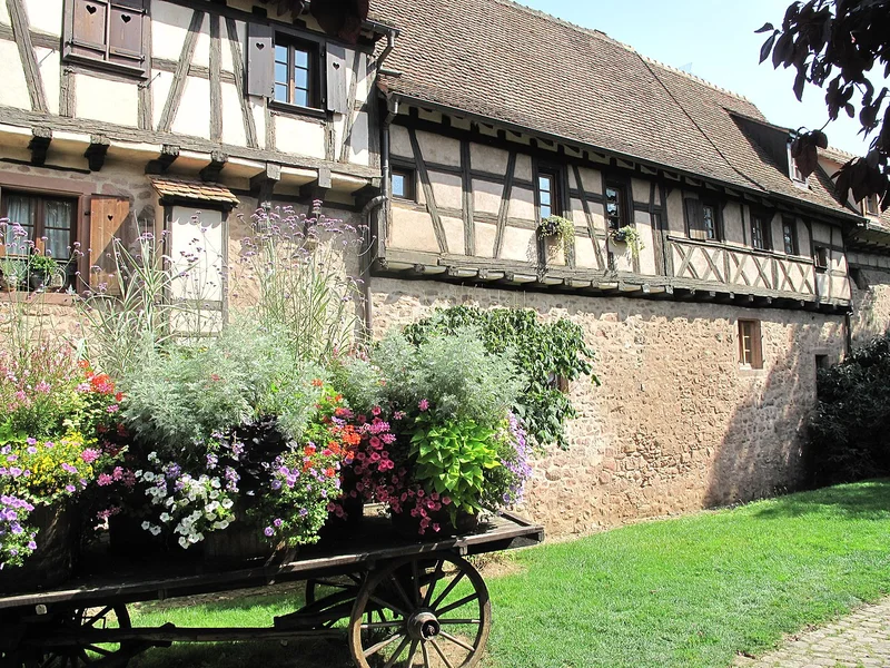 Maison à colombages typique de Riquewihr, aux façades colorées et fleuries.