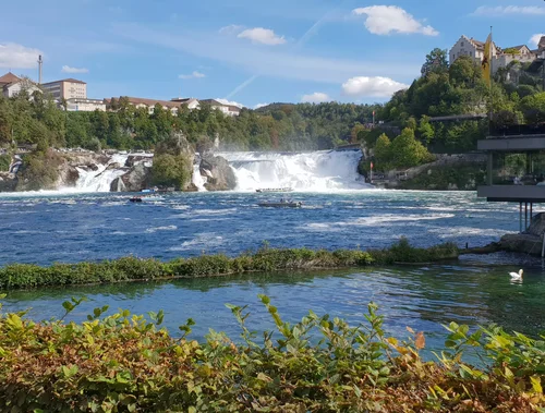 Vue sur les chutes du Rhin à Schaffhausen, la plus grande cascade d’Europe, entourée de rochers et de végétation.