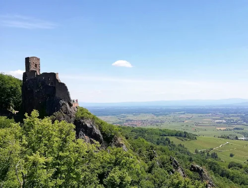 Ribeauvillé et son château Vue de Ribeauvillé avec l’un des châteaux dominant la ville depuis les collines vosgiennes.