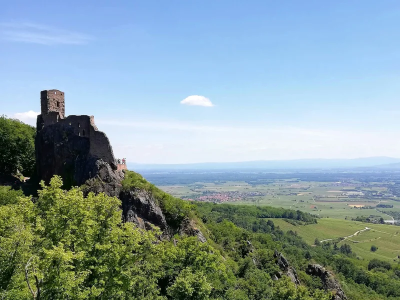 Vue de Ribeauvillé avec l’un des châteaux dominant la ville depuis les collines vosgiennes.
