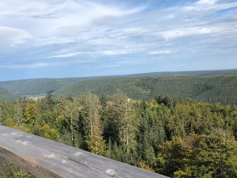 Vue panoramique depuis le sommet des cimes de la Forêt-Noire, avec collines boisées, vallées et villages au loin.