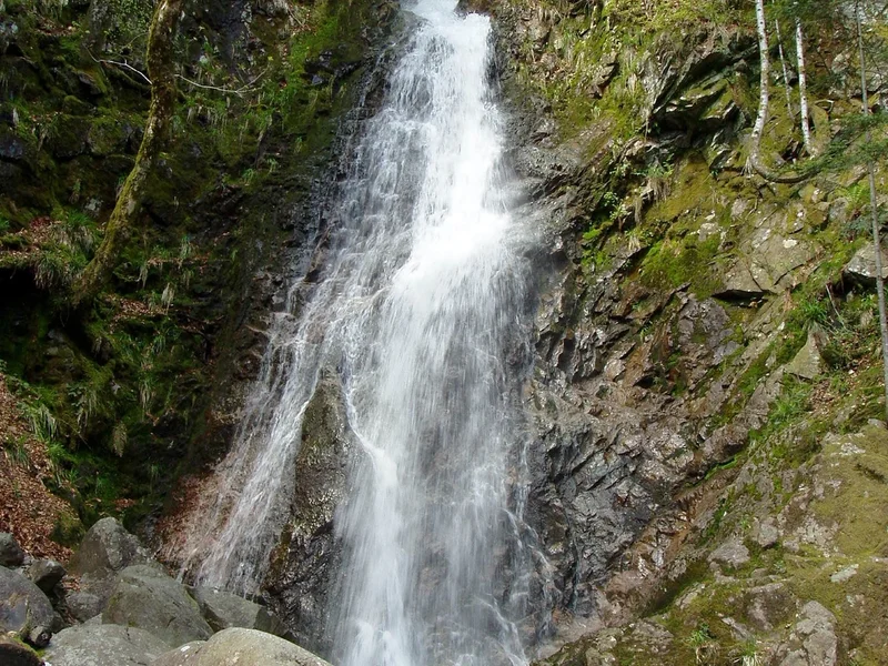 Cascade du Bockloch, chute d’eau entourée de rochers et de forêt vosgienne.