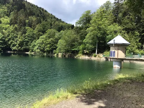 Vue sur le lac du Ballon entouré de forêt, observée depuis les hauteurs.