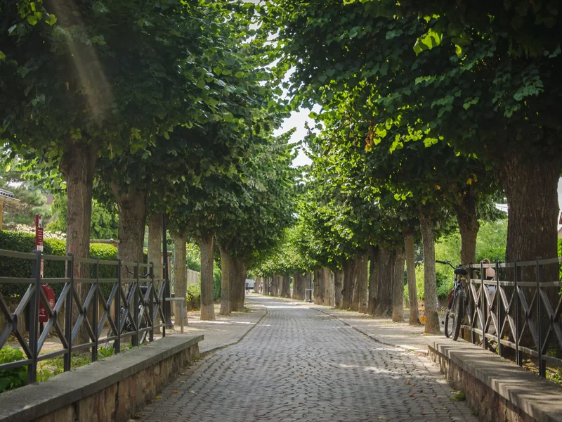Personnes se promenant le long des remparts de la ville d'Obernai entourés de verdure et de bâtiments historiques.