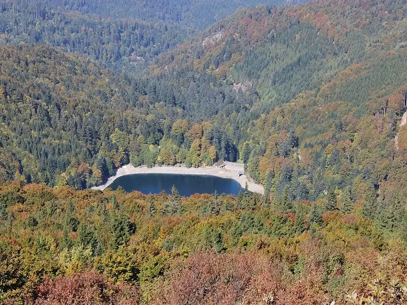 Vue sur le lac depuis le sentier GR5, entouré de forêts et de collines vosgiennes, en direction du col du Grand Ballon.