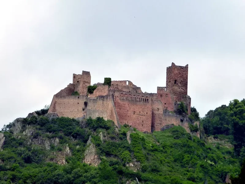 Vue sur le Château de Saint-Ulrich, ruine médiévale perchée sur une colline près de Ribeauvillé.