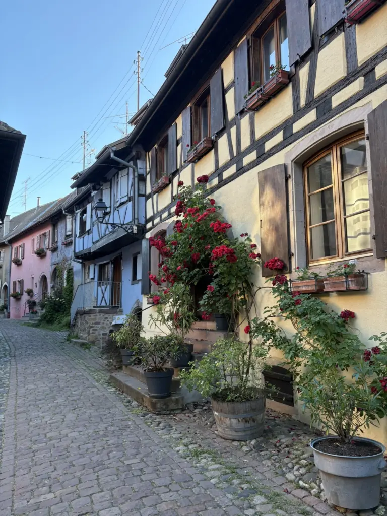 Image entête Eguisheim
