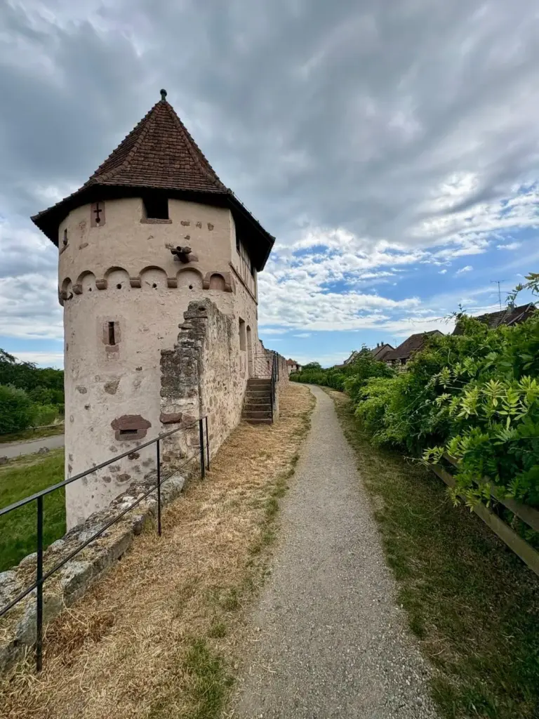 Promenade le long du circuit des remparts de Bergheim, offrant une vue sur les fortifications médiévales du village alsacien.