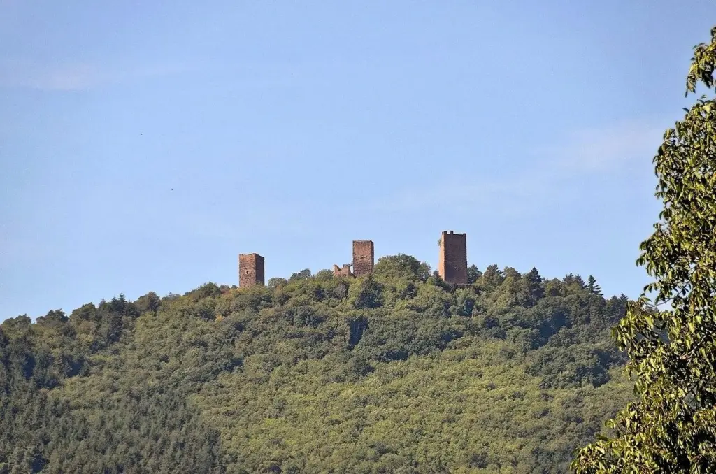 Vue des Trois Châteaux d’Eguisheim perchés sur une colline au-dessus des vignobles d’Alsace