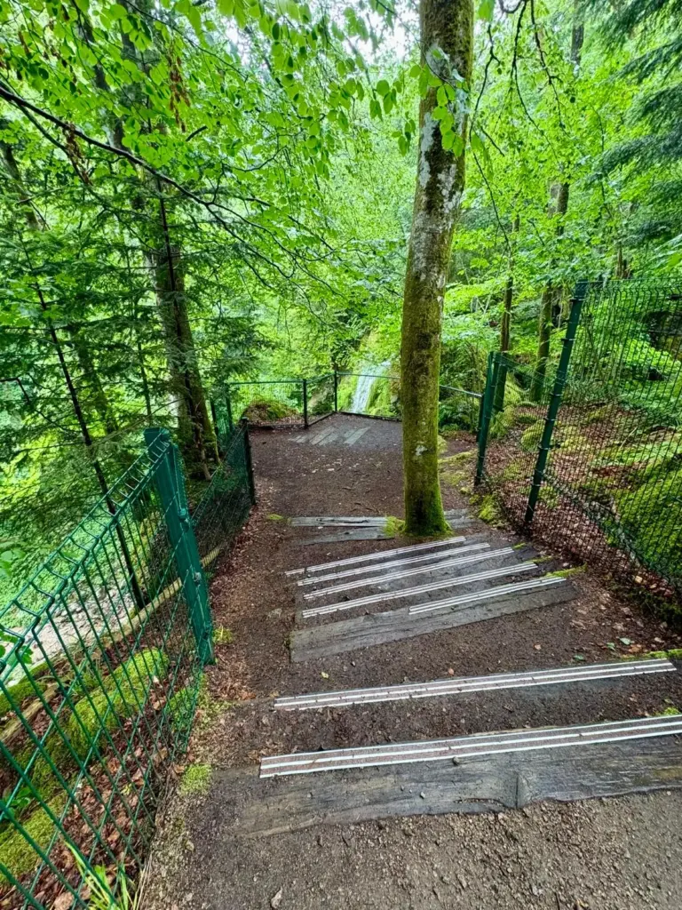 Belvédère surplombant la Cascade du Heidenbad avec vue sur la chute d'eau et la forêt des Vosges.