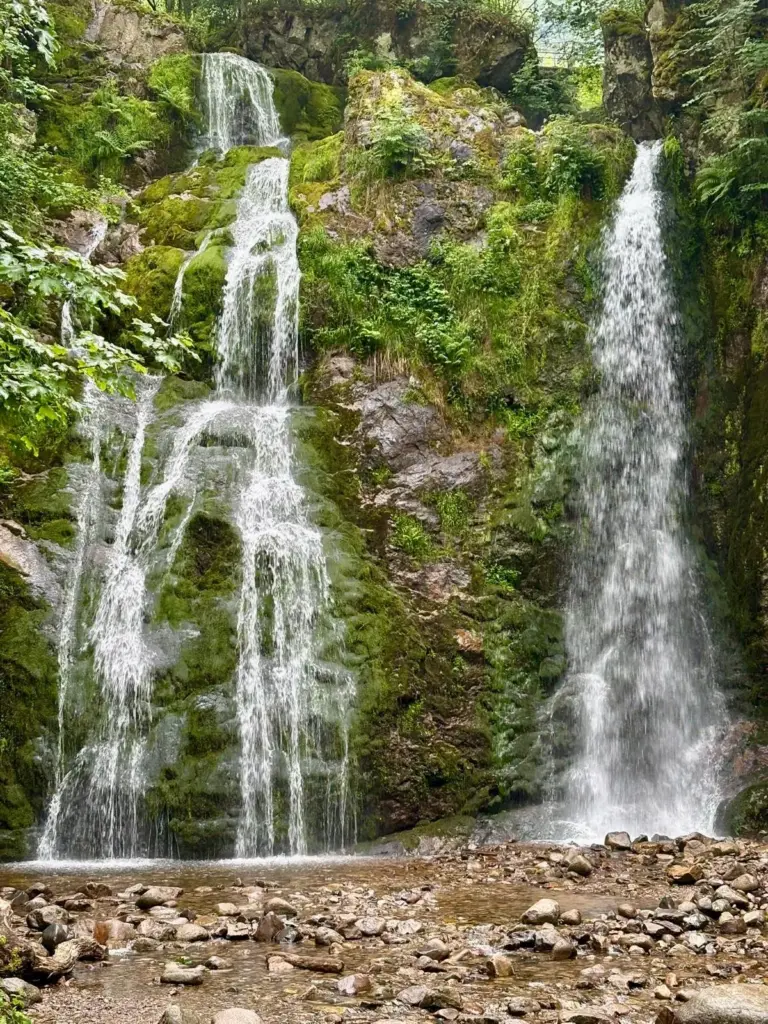 Vue de la Cascade du Heidenbad avec sa chute d'eau entourée de rochers, d'arbres et de végétation dans les Vosges.