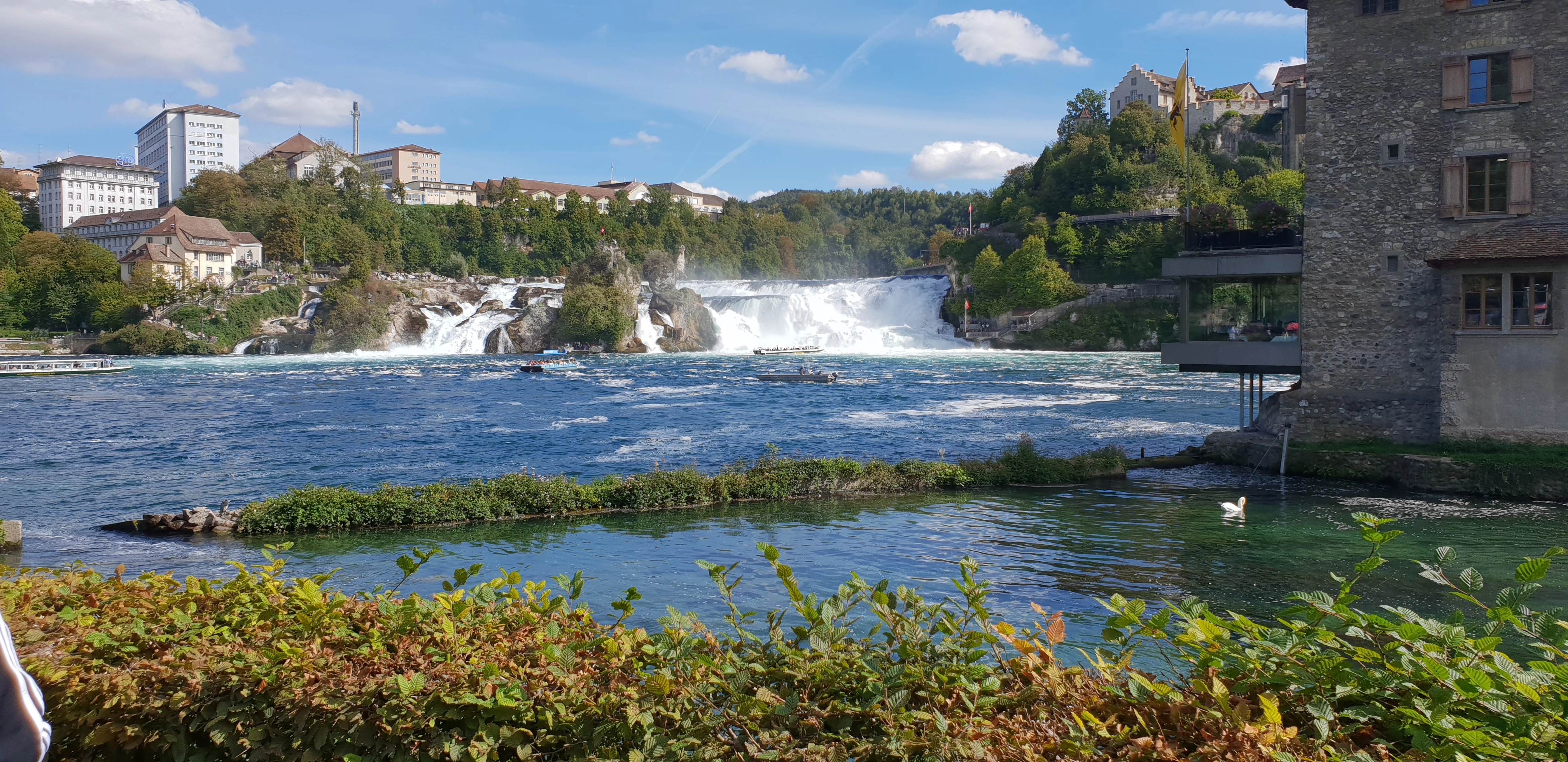 Vue sur les Chutes du Rhin sur le parcours