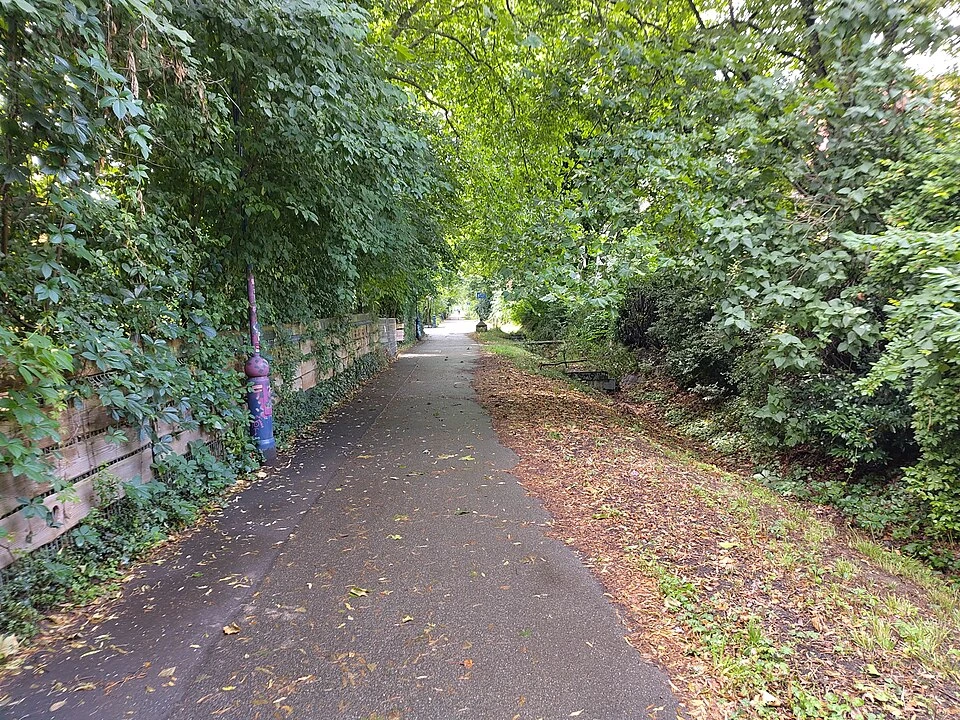 Freiburg im Breisgau, une ville idéale à découvrir à vélo
