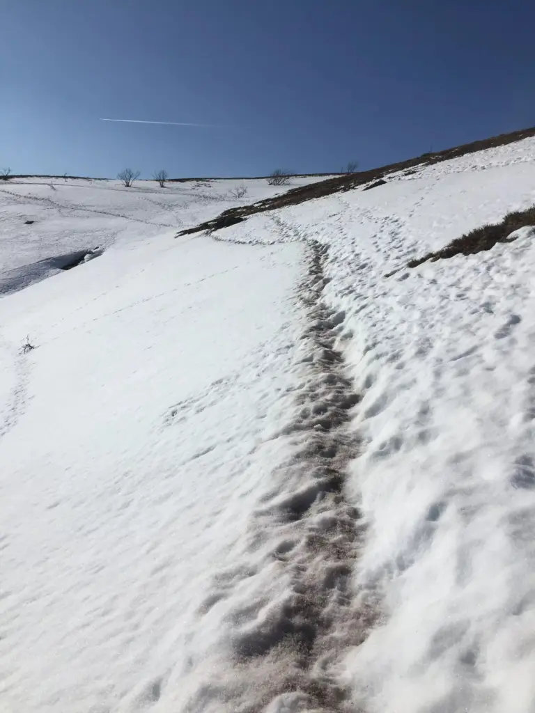 Randonnée en hiver dans la neige en direction du col du Hohneck