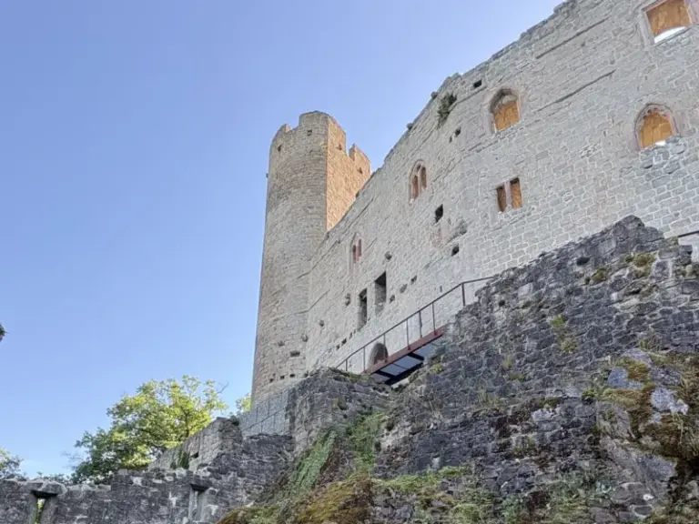 Chateau du haut andlau