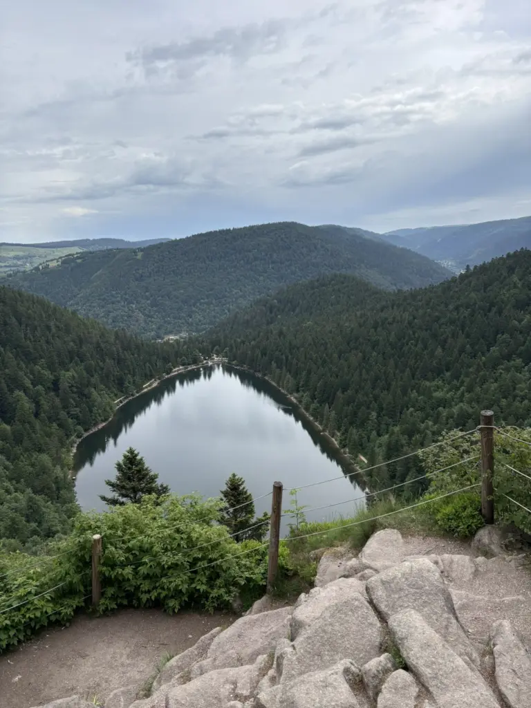 Vue panoramique sur le lac des Corbeaux et les paysages forestiers environnants depuis le belvédère du Rocher du Lac.