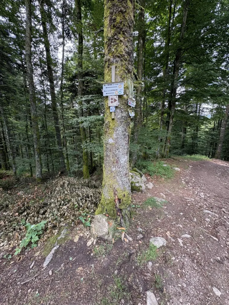 Panneau indiquant la direction du retour vers le lac de Lispach