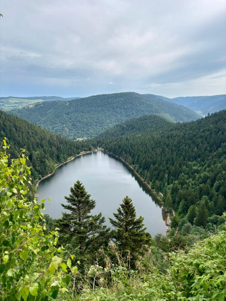 Vue panoramique sur le lac des Corbeaux dans les Vosges Vue du lac des Corbeaux entouré de forêts et de collines dans le massif des Vosges, sous un ciel couvert.