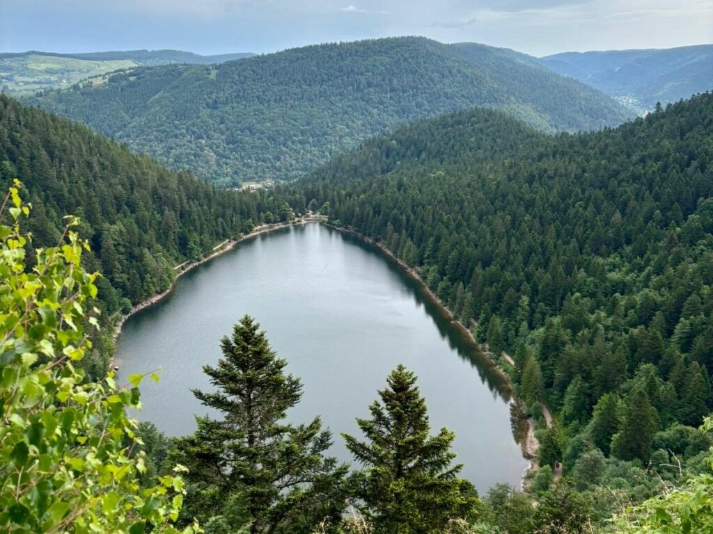 Vue du lac des Corbeaux entouré de forêts et de collines dans le massif des Vosges, sous un ciel couvert.
