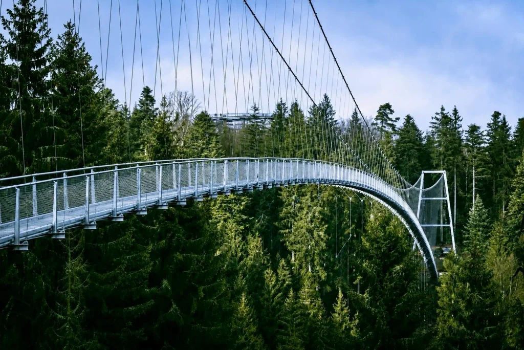Passerelle suspendue WILDLINE à Bad Wildbad au-dessus de la forêt