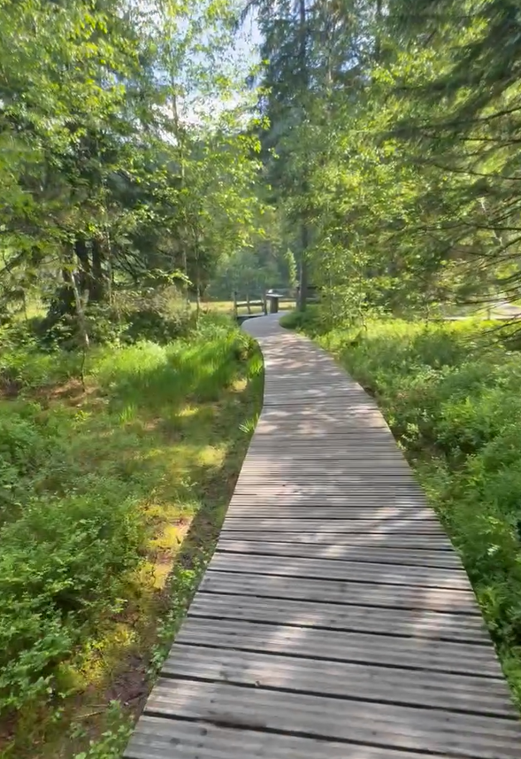 Chemin au début de la randonnée autour du lac de Lispach