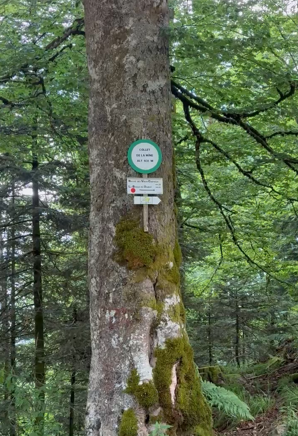 Panneau indiquant la direction vers la Roche des Vieux Chevaux, balisage rond rouge