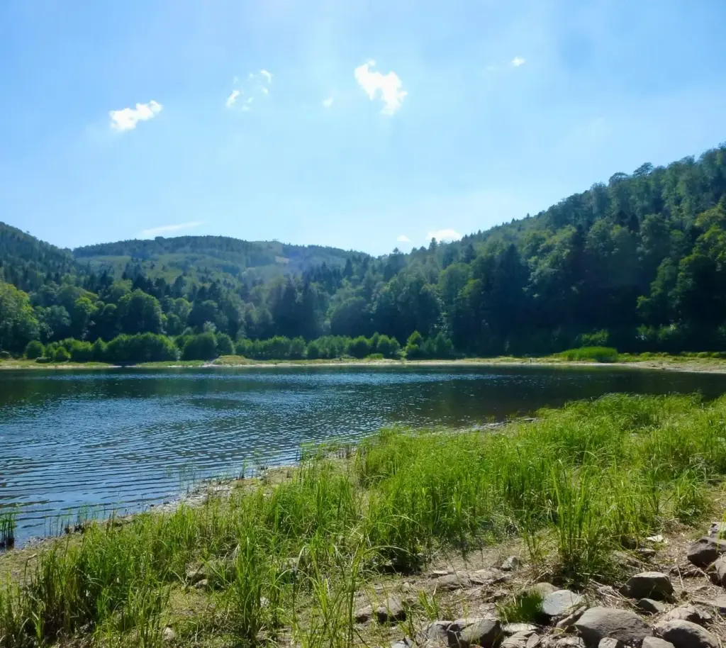 Vue sur le lac de la Lauch et les collines vosgiennes au loin.