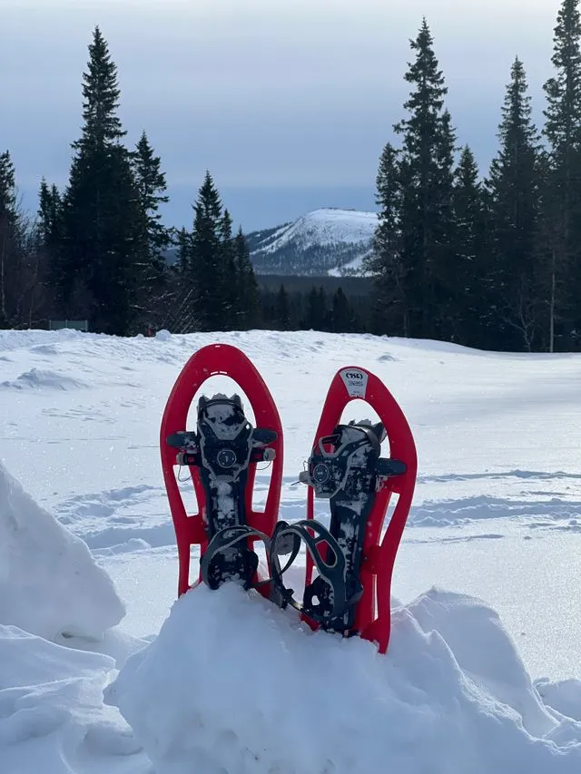 Équipement de randonnée adapté à la marche dans des conditions hivernales