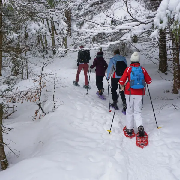 Randonnée en hiver