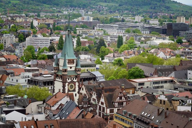 Vue automnale de la ville de Freiburg im Breisgau