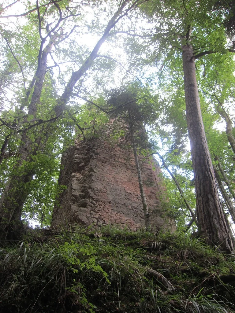 Ruines du château de Reichenstein
