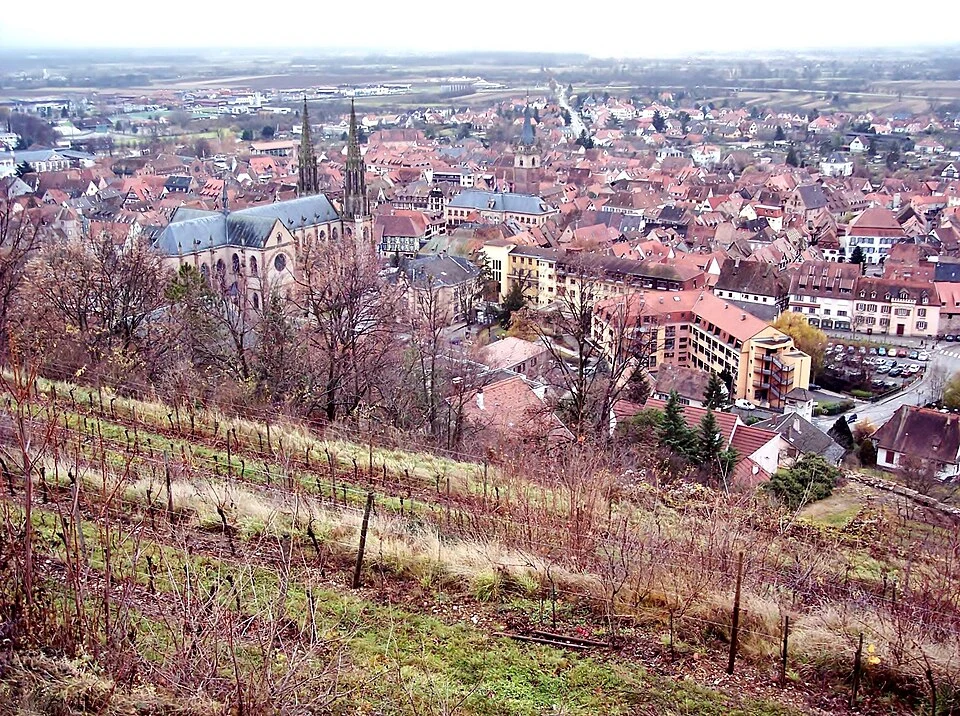 Vue depuis les vignobles d'Obernai Vue depuis les vignobles d'Obernai