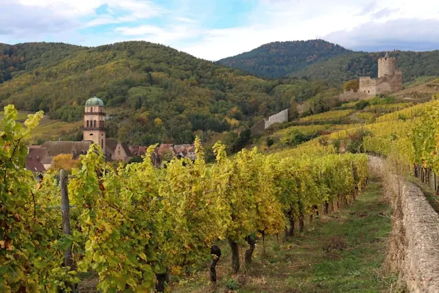 Vue sur les remparts de Kaysersberg depuis les vignobles
